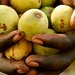 Amarula launches major multi-channel harvest promotion