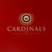 Cardinals Motor Corporation Lowveld generates brand awareness via a Z-CARD® Cardinals Motor Corporation Lowveld generates brand awareness via a Z-CARD®