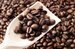Ghana set to process 40% of cocoa locally, report Ghana set to process 40% of cocoa locally, report