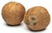 R37m coconut boost for small farmers R37m coconut boost for small farmers