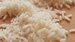 Zambia in 15,000 tonnes rice deficit Zambia in 15,000 tonnes rice deficit