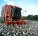 Tanzanian firm to open ginnery in Zambia Tanzanian firm to open ginnery in Zambia