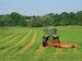 Dunavant diversifies to buying maize, soya beans, Zambia Dunavant diversifies to buying maize, soya beans, Zambia