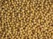 Soybean futures decline Soybean futures decline